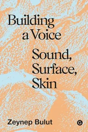 Last Chance Building a Voice Sound, Surface, Skin