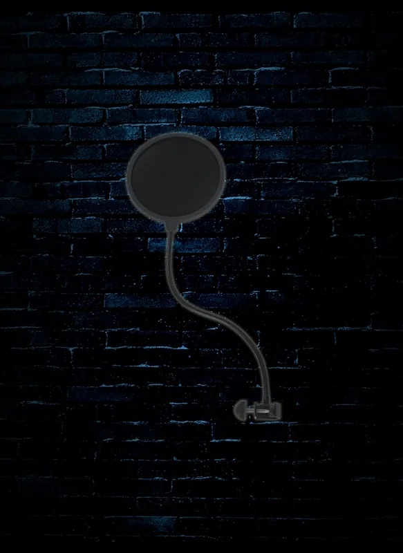 Express Delivery Rok-It Microphone Pop Filter