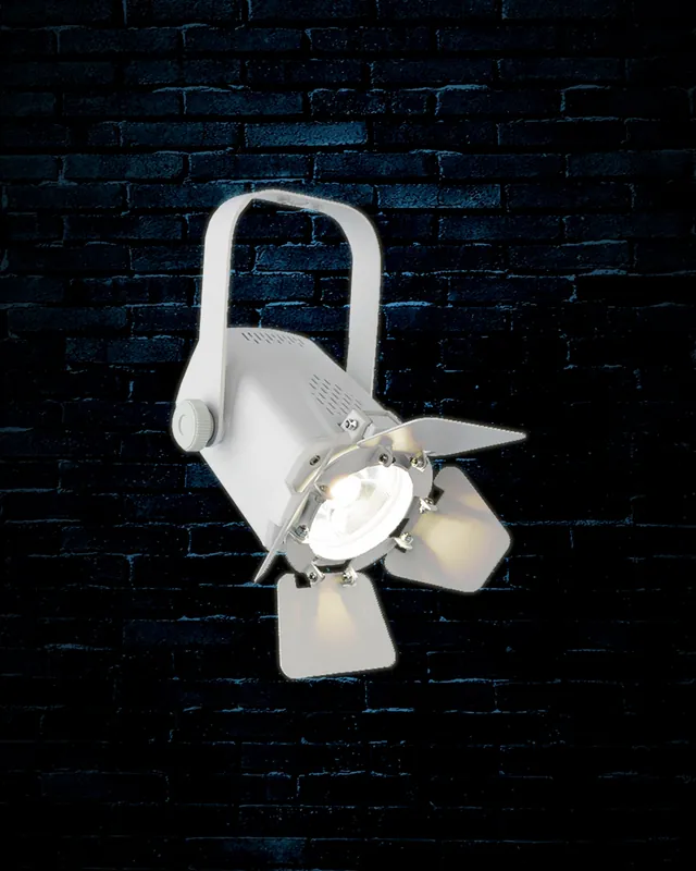 High Quality Chauvet DJ EVE TF-20 LED Wash Light - White