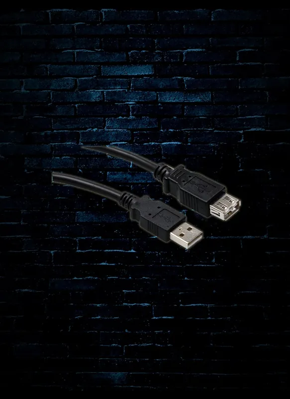 Get Yours Hosa USB-210AF - 10' Type A to Type A High Speed USB Extension Cable