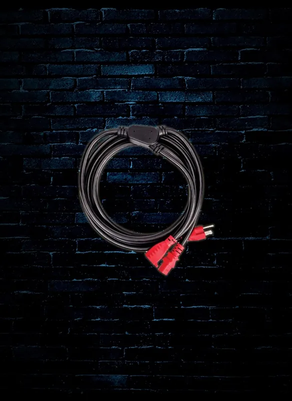 Get Yours Planet Waves PW-IECPB-10 - 10' IEC to NEMA Plug Power Cable+