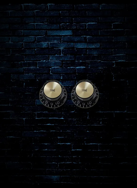Allparts PK-3292 Set of 2 Reflector Tone Knobs - Gold/Black Best Price