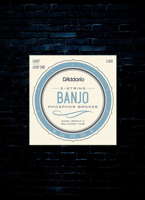 Authentic D'Addario EJ69 Phosphor Bronze Banjo Strings - Light (9-20)