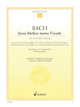 Bach Jesu, Joy of Man's Desiring - Flute & Piano BWV 147 Free Shipping