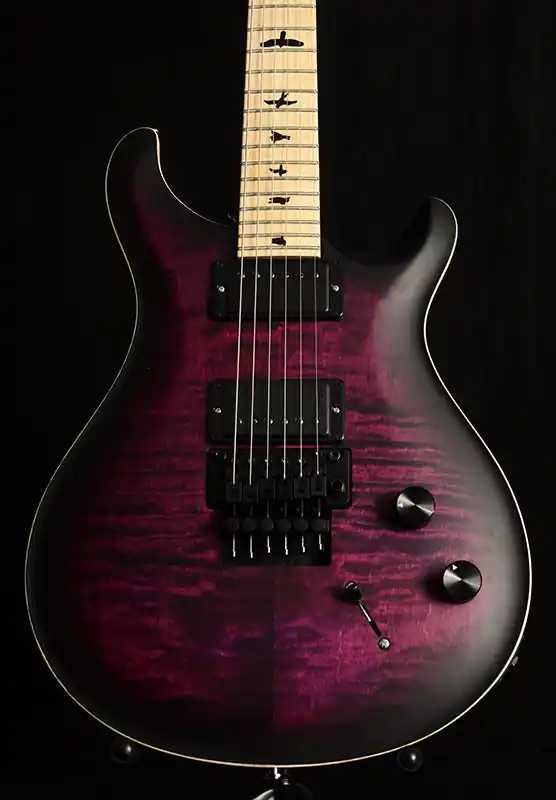 Used Paul Reed Smith DW CE 24 Floyd Dustie Waring Signature Waring Bur Affordable