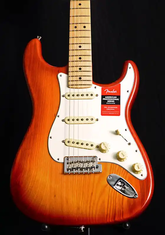 Fender American Professional Stratocaster Sienna Burst Guitar Get Yours