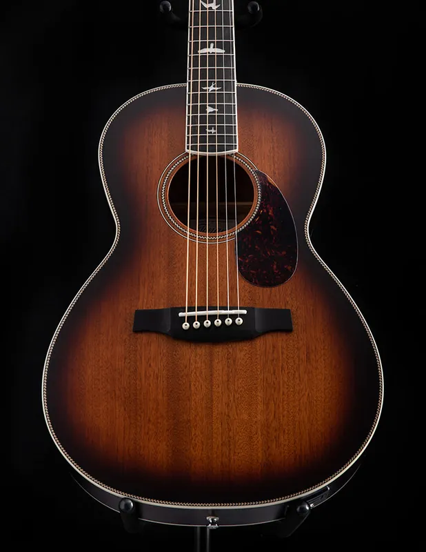 Paul Reed Smith SE Tonare P20E Don’t Miss Out