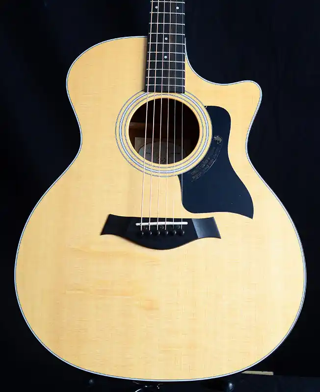 Taylor 316ce Professional Grade
