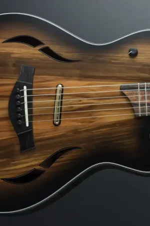 "Build to Order" Custom T5Z '22– Dave's Guitar Shop Seasonal Sale