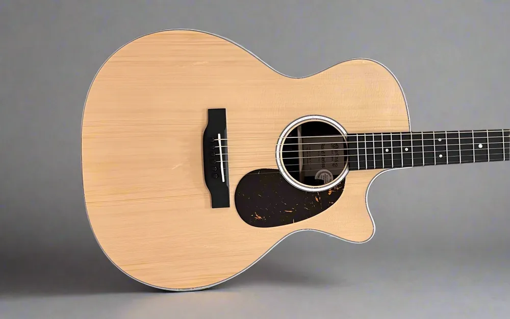 Clearance GPC-13E Ziricote– Dave's Guitar Shop