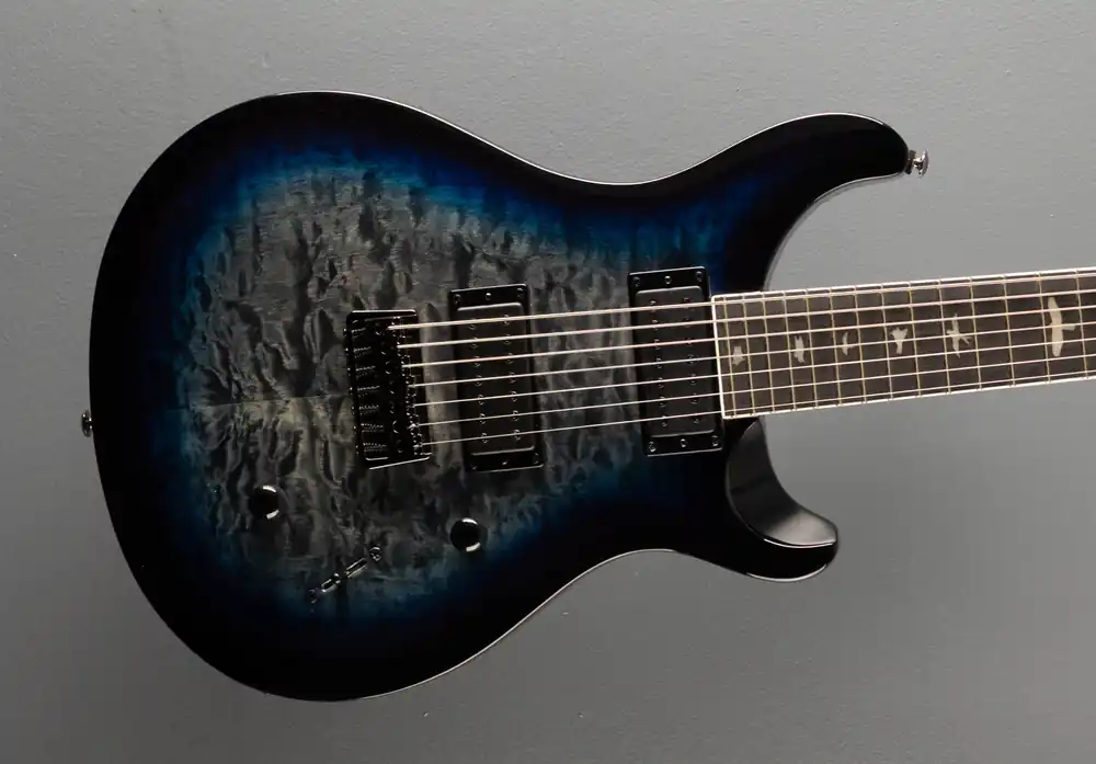 Direct From Factory SE Mark Holcomb SVN, '22– Dave's Guitar Shop