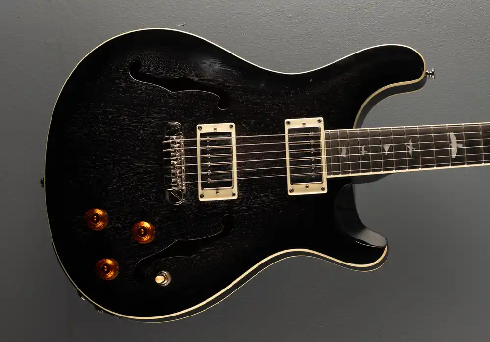 Bargain SE Hollowbody Standard Piezo '23– Dave's Guitar Shop