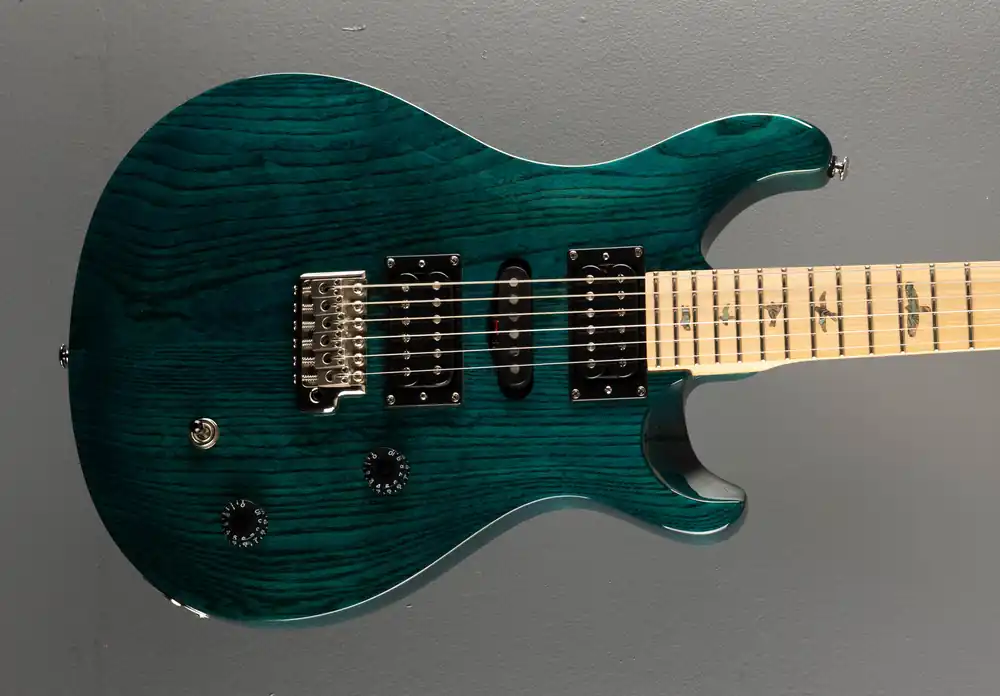 Place Order SE Swamp Ash Special '24– Dave's Guitar Shop