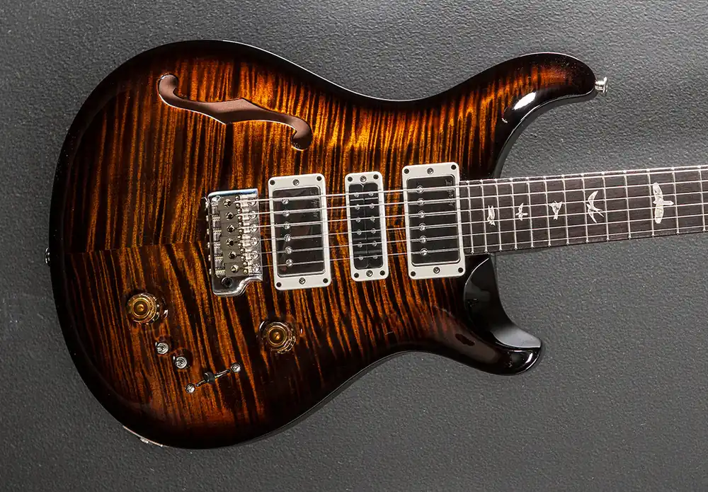 Today Only Special Semi-Hollow '25– Dave's Guitar Shop