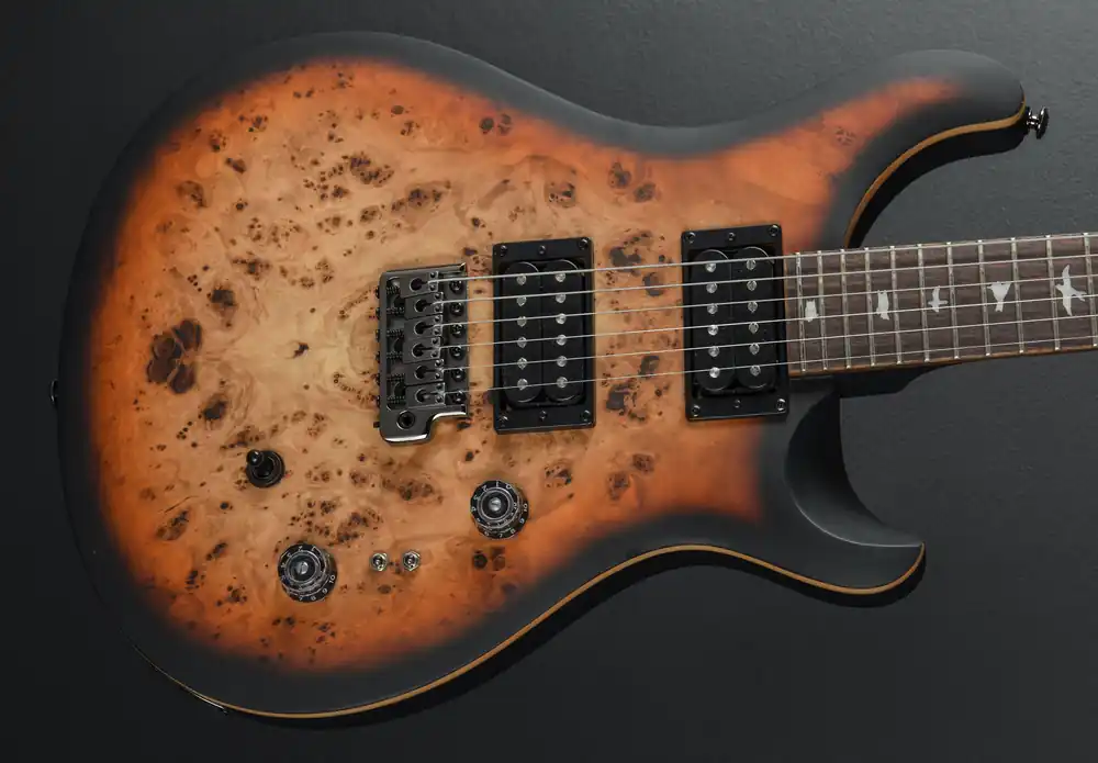 Fan Favorite SE Custom 24-08 Poplar Burl Limited Edition, '24– Dave's Guitar Shop
