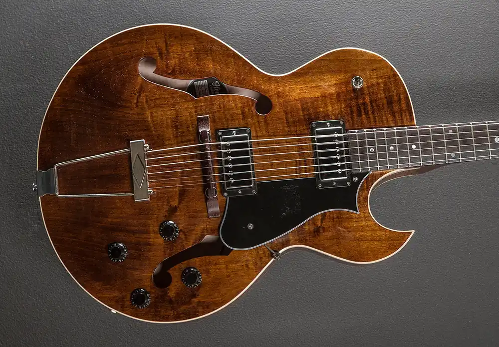 Authentic Standard Collection H-575 Hollow '25– Dave's Guitar Shop