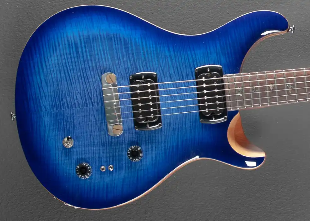 SE Paul's Guitar '22– Dave's Guitar Shop New Arrival