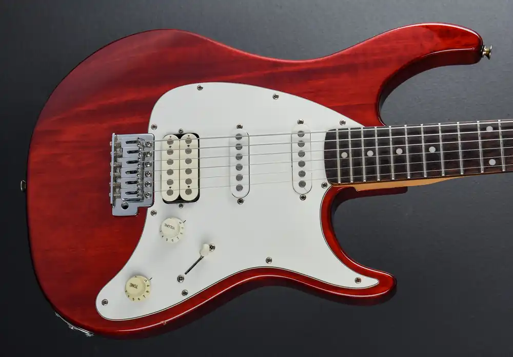 Reduced Price Raptor Plus, Recent– Dave's Guitar Shop