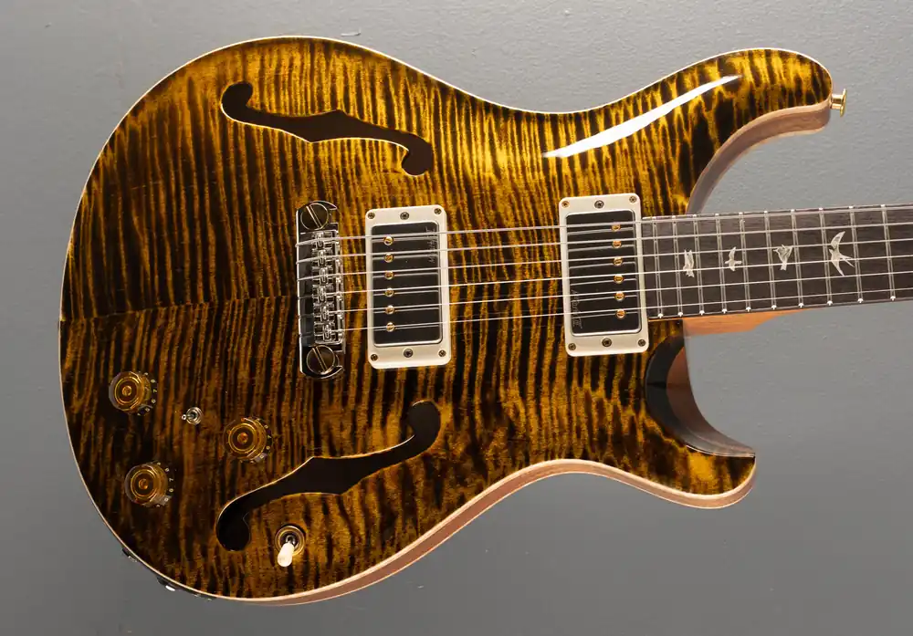 Free Shipping Hollowbody II Piezo 10 Top - Yellow Tiger– Dave's Guitar Shop