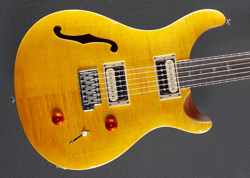 SE Custom 22 Semi-Hollow '22– Dave's Guitar Shop Viral
