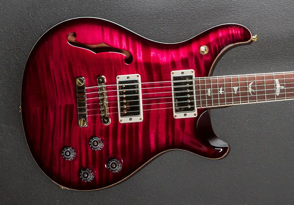 McCarty 594 Semi-Hollow Wood Library Limited - Angry Larry w/Brazilian– Dave's Guitar Shop Big Sale