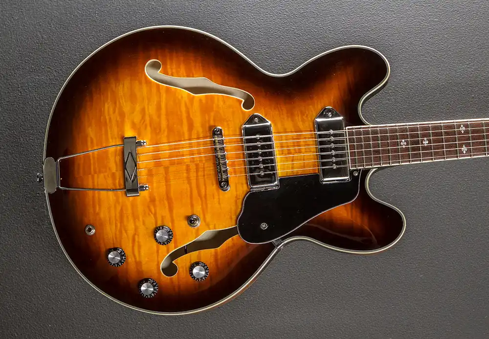 Semi-Hollow, Recent– Dave's Guitar Shop Flash Sale