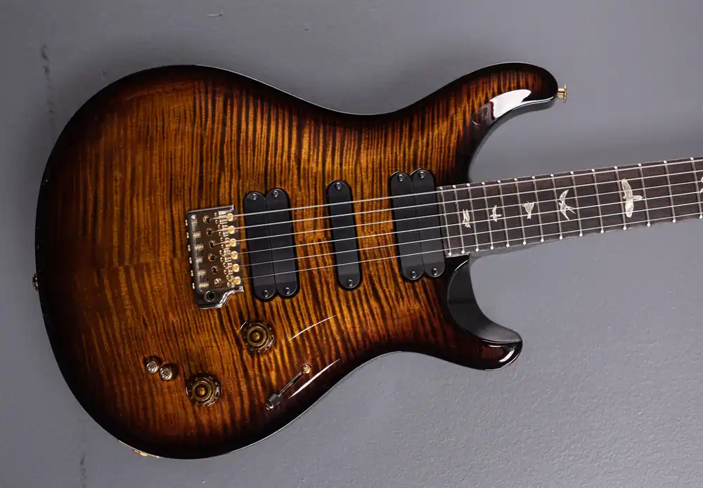 Fast Shipping 509 10 Top - Black Gold Burst (2023 Model)– Dave's Guitar Shop
