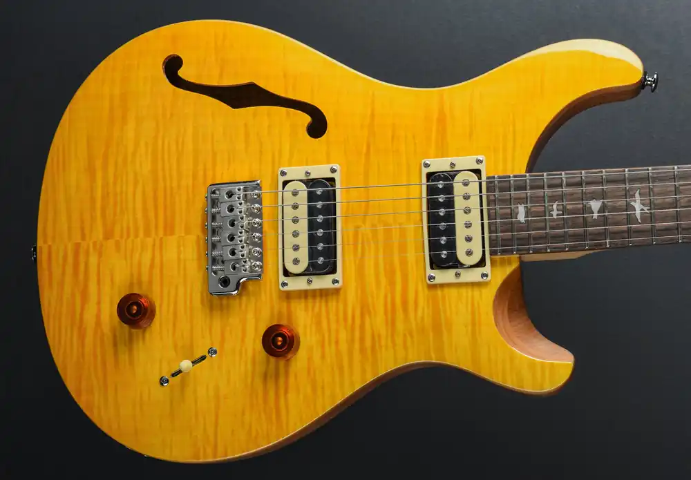 Limited Offer SE Custom 22 Semi-Hollow '22– Dave's Guitar Shop