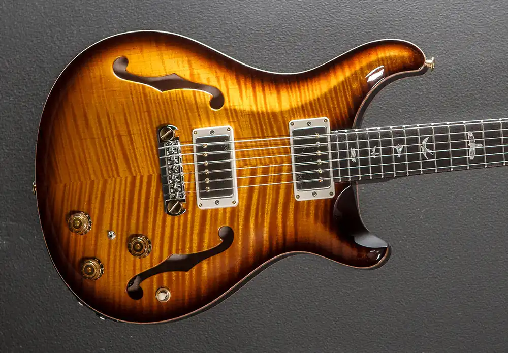 Trusted Brand Hollowbody II Piezo 10 Top - McCarty Tobacco Sunburst– Dave's Guitar Shop