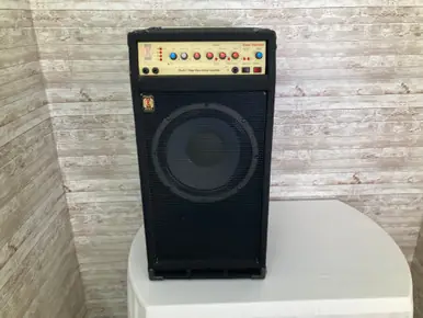 Used Eden DAVID EDENTIME TRAVELER 12 COMBO Bass Combo Amplifier Other Direct From Manufacturer
