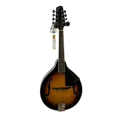 Don’t Miss Out Used Savannah SA-100 Mandolin