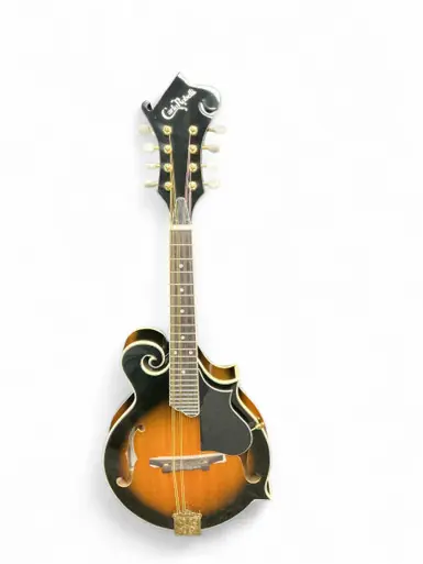While Supplies Last Used Carlo Robelli CRSMA007X Mandolin
