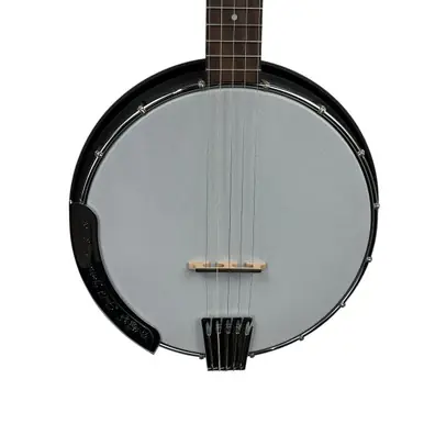 Hassle-Free Returns Used Gold Tone AC-5 Banjo
