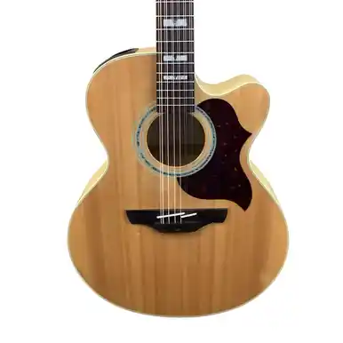 Used Takamine EG523SE-12 Acoustic Guitar Wood Direct From Factory