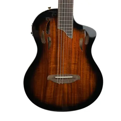 Next Day Delivery Used ORTEGA TOUR PLAYER DELUXE ACACIA Solid Top Acoustic Guitar Wood
