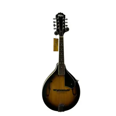 Used Washburn M1S Mandolin Don’t Miss Out