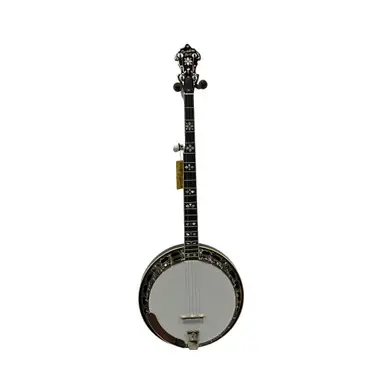 Used Recording King RK-ELITE-76 Banjo Price Cut