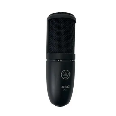 Today Only Used Akg P120 Condenser Microphone