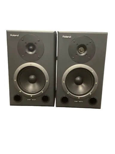 Used Roland DS-90 PAIR Speaker Cabinet In Demand