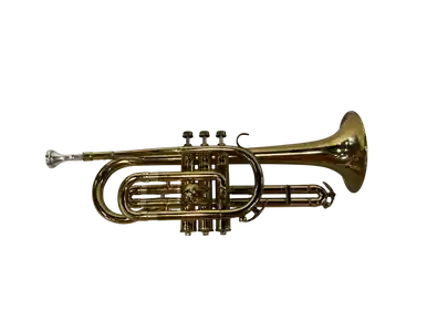 Save Now Used ROTH CORNET W/CASE Cornet