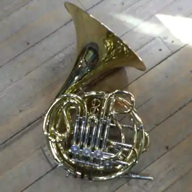 Hot Picks Used Eastman EFH462 Double French Horn