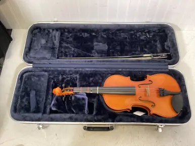 Used NIKOLA 44VLHO VIOLIN Violin 4/4 Size Luxury