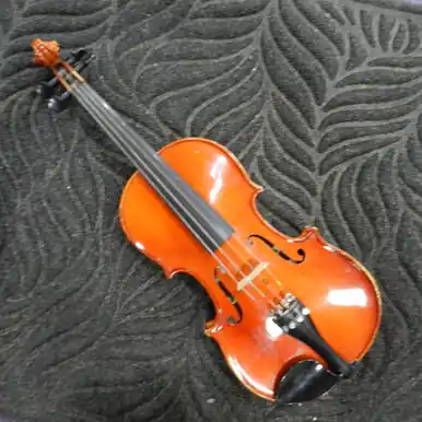 Budget Used STRAUSBERG WEST GERMAN 1/2 VIOLIN OUTFIT Violin 1/2 Size