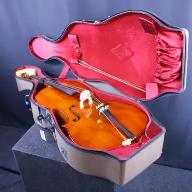 Used STRINGWORKS CRESCENDO 4/4 CELLO W/C/B Cello 4/4 Size Shop Now
