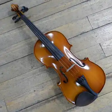 Used ALBERT LARSEN 185 16IN Viola 16" Hot Picks