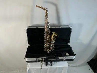 Place Order Used Selmer LIBERTY LAS100 Alto Saxophone