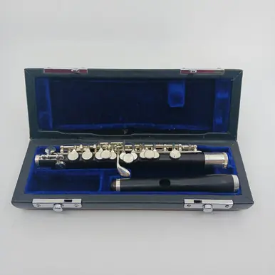 Used DI ZHAO DZP201 Other Band Instrument Latest