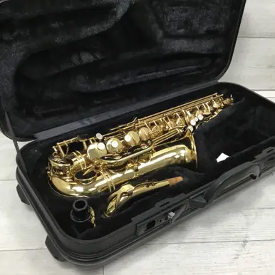 Used Accent AS710L Alto Saxophone Modern