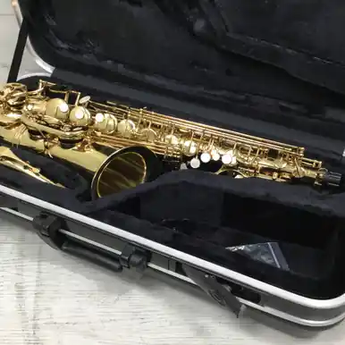 Used Accent AS710L Alto Saxophone Last Chance