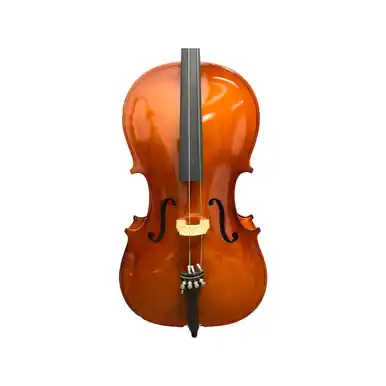 Used Scherl & Roth R500E2 Cellos Cellos Flash Sale